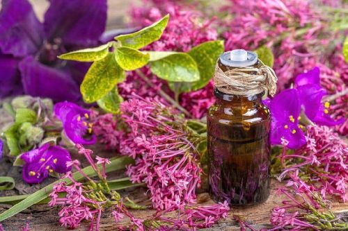 Clary Sage Oil