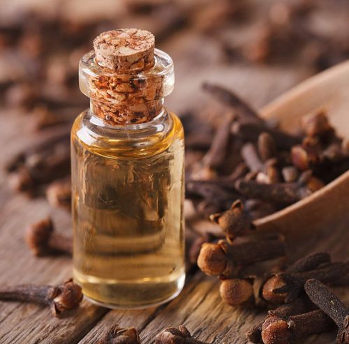 Clove Bud Oil, Scent : Strong, Spicy, Warm
