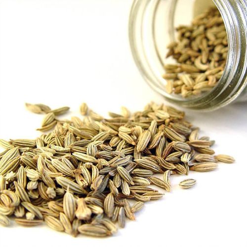 Fennel Seed Oil