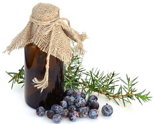 Juniper Berry Oil, Color : Yellowish