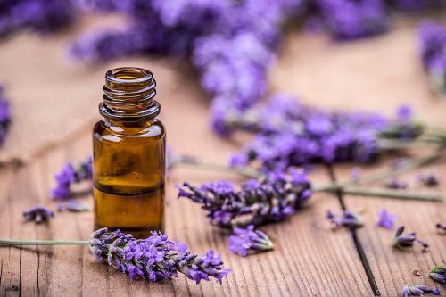 Lavender oil, Certification : ISO 9001:2008