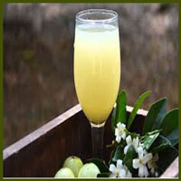 Amla Juice, Packaging Type : Plastic Bottle