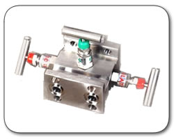 Manifold Valves