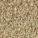 Ajwain, Quality Available : A Grade