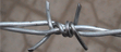 Barbed Wire, Wire Gauge : 10-15mm