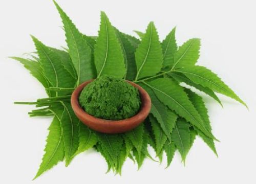 Neem Powder