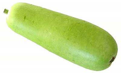 Little Bottle Gourd