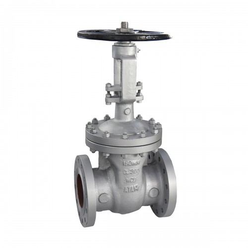 CSS Gate Valve