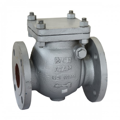 Globe Valve