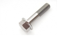 Hex Flange Bolts