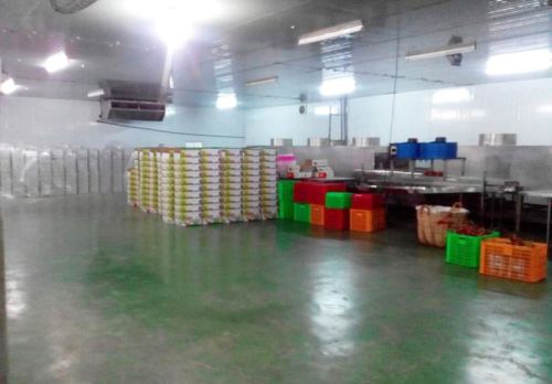 Post Harvest Management Services