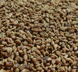 Ajwain Seed