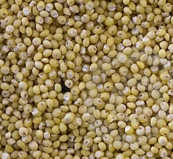 Millet, Color : Yellow, White