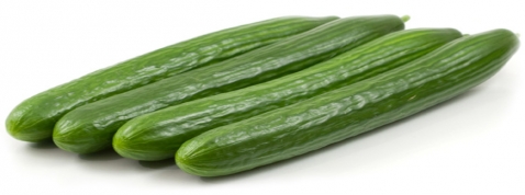 Organic Seedless Cucumber