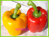 Capsicum, Type : Fresh