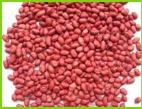 Groundnuts