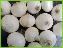 White Onion