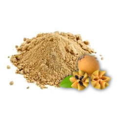 Chikoo Powder