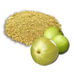 Gooseberry Powder