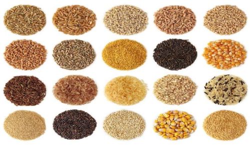 Pulses
