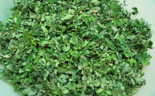 Moringa Dried Leaves, Color : Green
