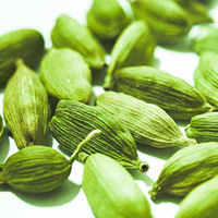 Cardamom