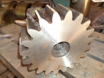 Spur Gear