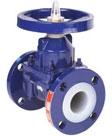 Diaphragm Valve