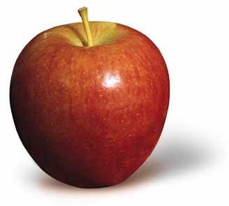 Apple, Packaging Type - Carton