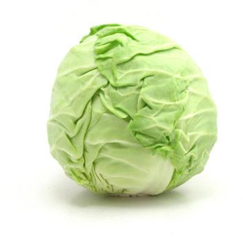 Cabbage, Storage Tips : Store In A Cool Place