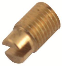 Brass Dog Point Slotted Screw