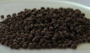 Papaya Seeds, Cabbage Seeds, Mustard Seeds, Brand Name : Buyer Brand