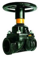 Diaphragm Valves