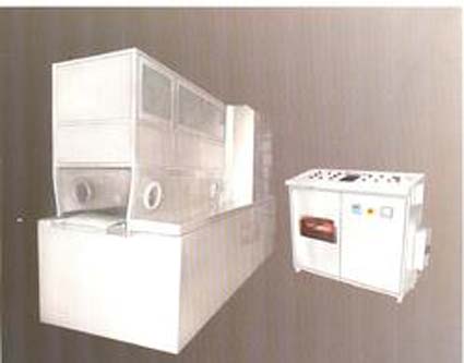 Depyrogenation Tunnel