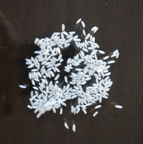 Non basmati rice, Cultivation Type : Natural