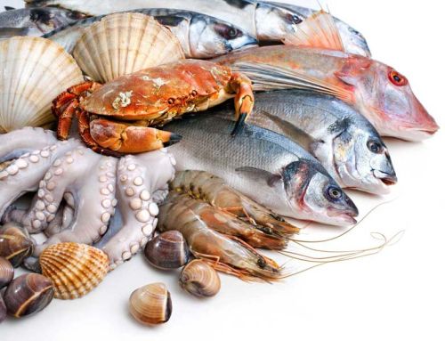 Frozen Seafood, Freezing Process : Cold Storage