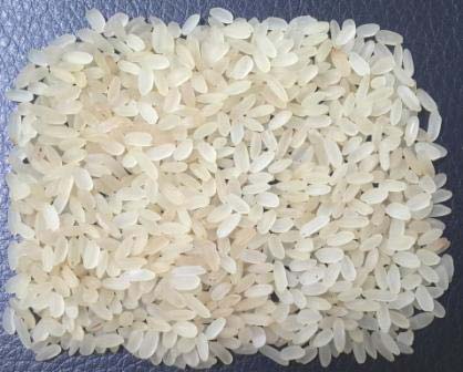 Organic Hard Swarna Non Basmati Rice, Variety : Medium Grain