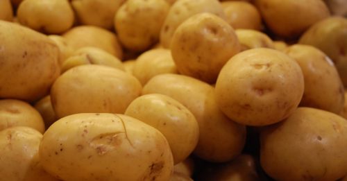 Potato, Shelf Life : 3 Months