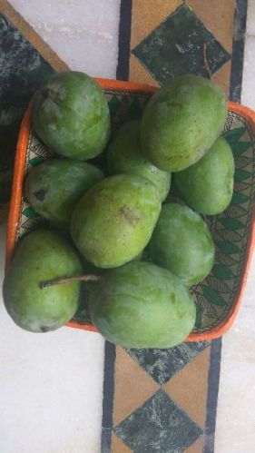 Langda Malda Mangoes