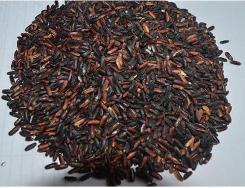 Manipuri Black Aromatic Rice