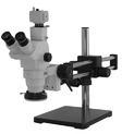 Trinocular Microscope