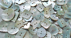 Akoya( Shell Buttons )