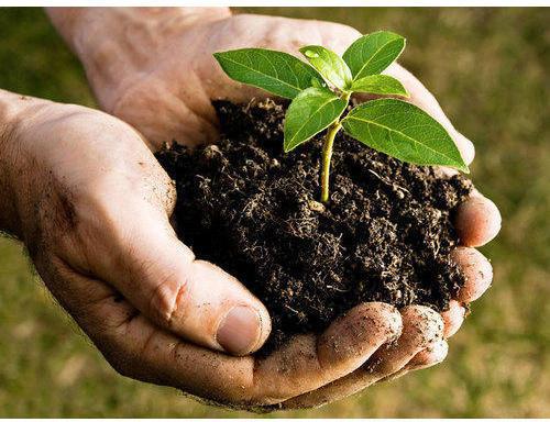 Organic Manure, For In Agriculture, Color : Brown