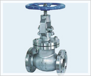 Globe Valve