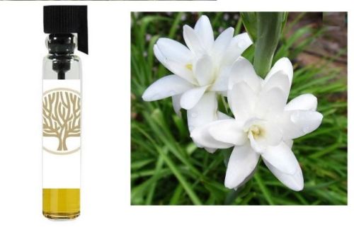 Tuberose Absolute