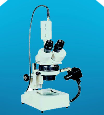 Stereo Microscopes