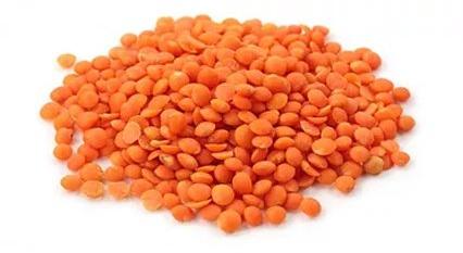 Red Lentil