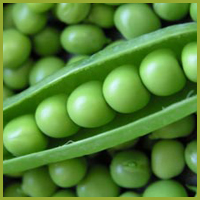 Green peas, Cultivation Type : Organic