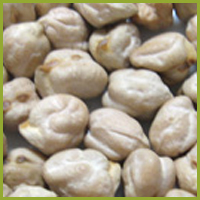 Kabuli Chana