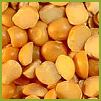 Yellow Peas